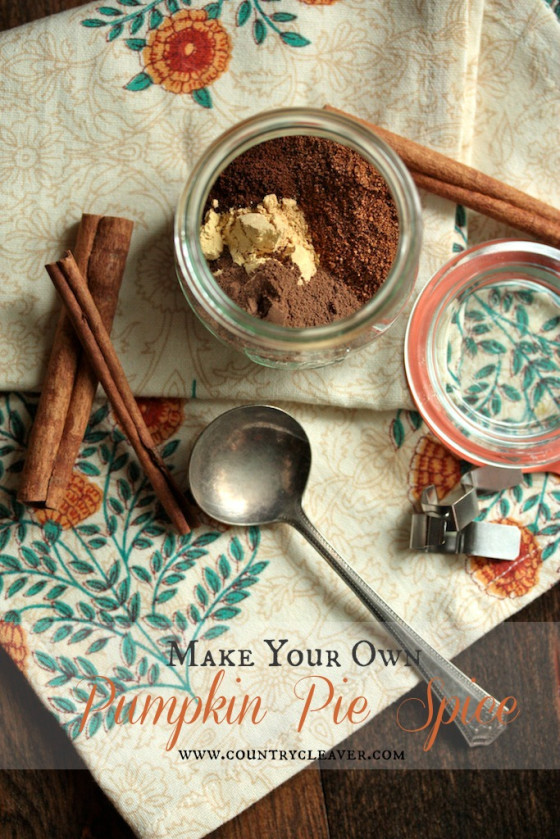 Make Your Own Pumpkin Pie Spice Blend!! Make the perfect blend for all your fall needs! - www.countrycleaver.com