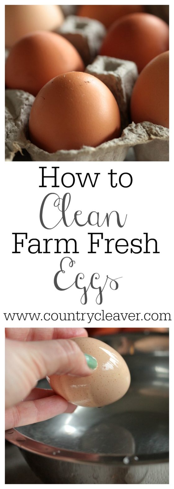 How to Clean Farm Fresh Eggs