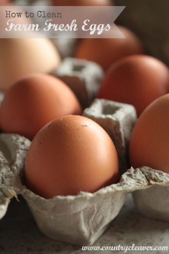 How to Clean Farm Fresh Eggs - www.countrycleaver.com