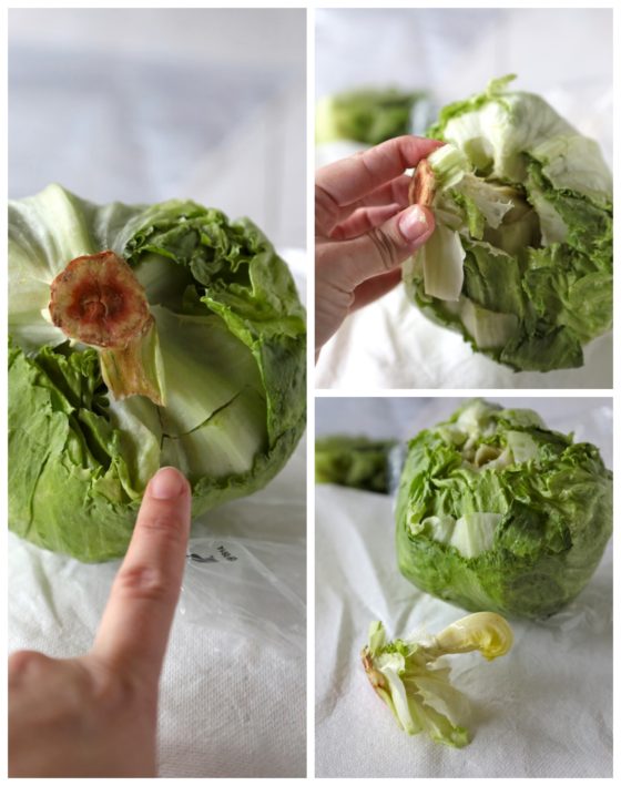 How to Keep Lettuce Fresh - www.countrycleaver.com