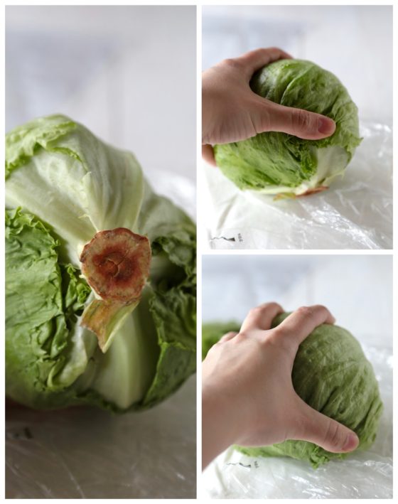 How to Keep Lettuce Fresh - www.countrycleaver.com