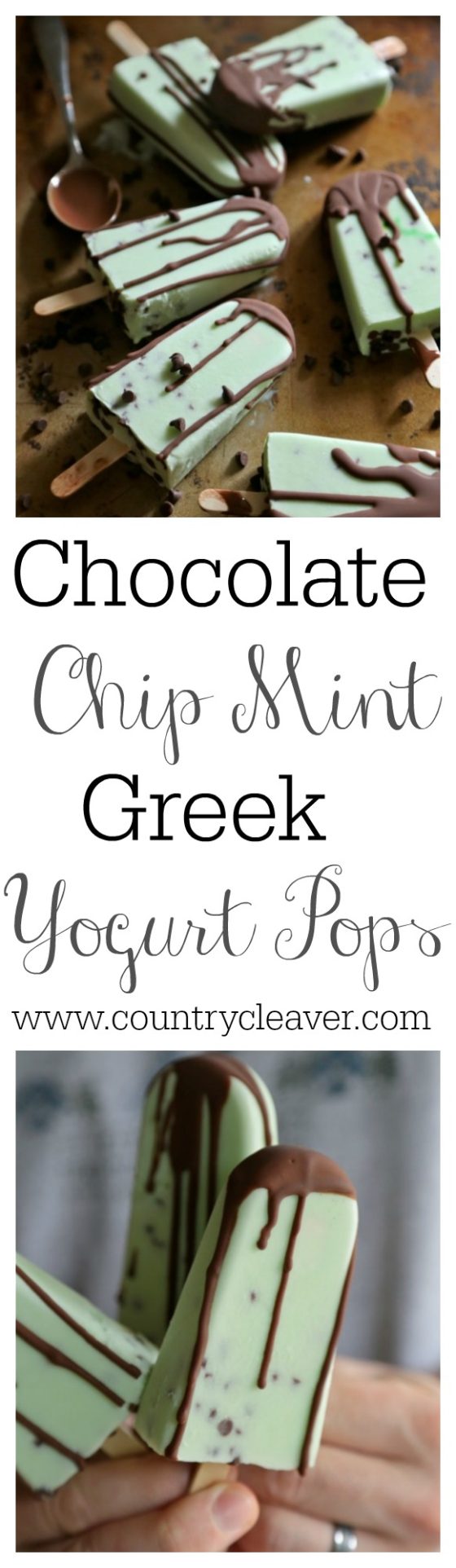 Chocolate Chip Mint Greek Yogurt Pops-- www.countrycleaver.com