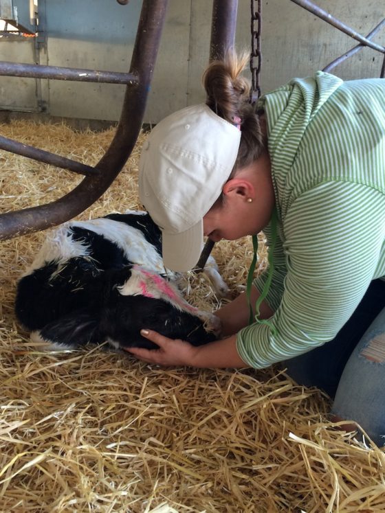 Nothing will make you melt like cuddling a brand new baby cow. - www.countrycleaver.com