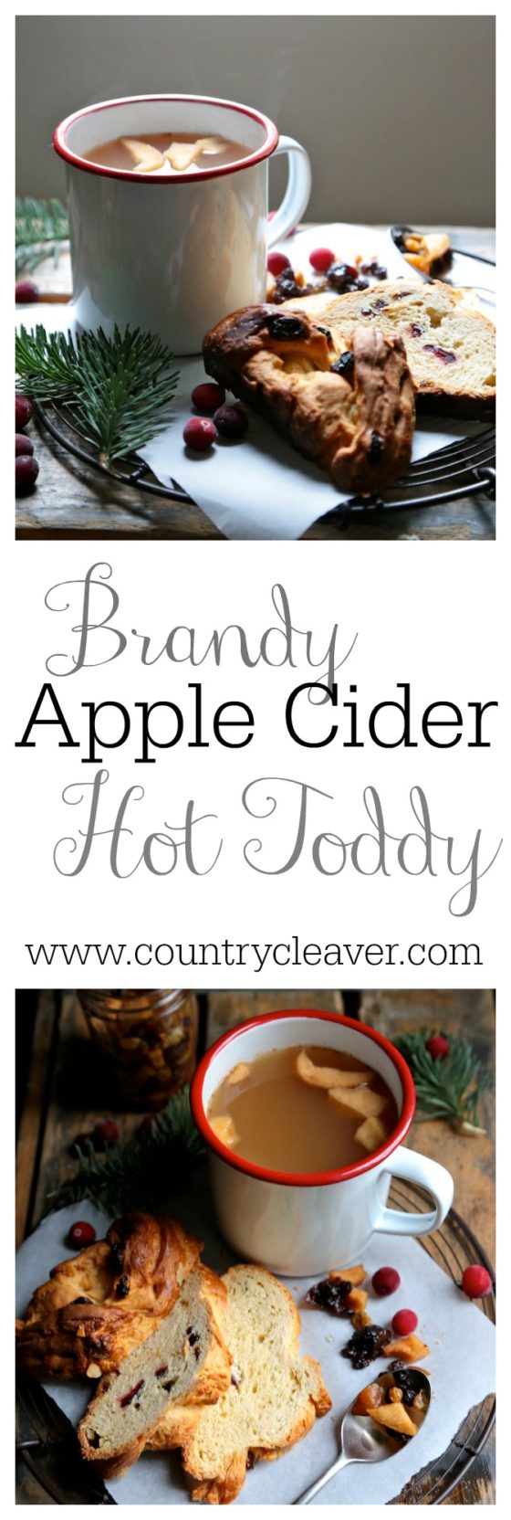 Brandy Aged Apple Cider Hot Toddy - www.countrycleaver.com