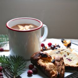 Brandy Aged Apple Cider Hot Toddy - www.countrycleaver.com