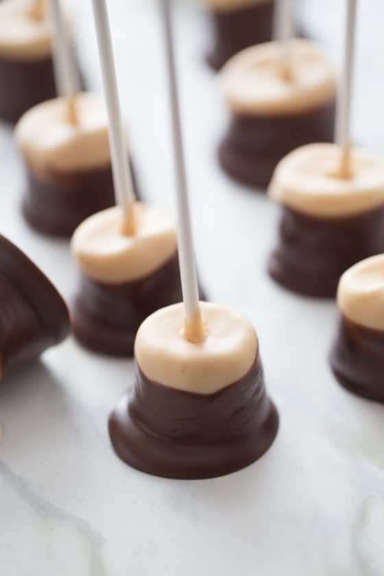 Mini Buckeye Marshmallow Pops and 25 other Beautiful Bite Sized Desserts!