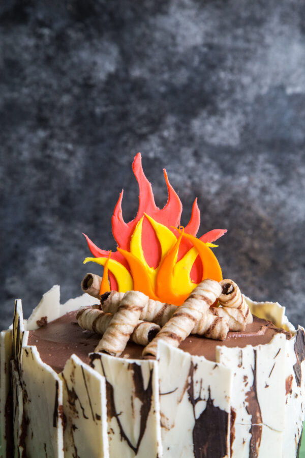 Campfire Cake - With Birch Bark and Firewood close up of fire with cookie fire wood