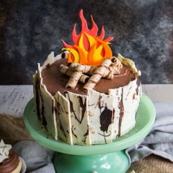 Campfire Cake - With Birch Bark and Firewood Overheat shot of campfire