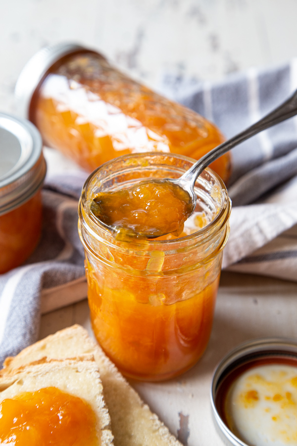 Spoonful of Pineapple Apricot Jam in jar